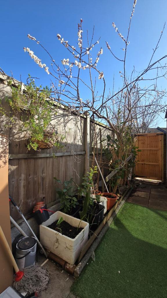 3 Bedroom Maisonette to Rent in London, E15 4HW